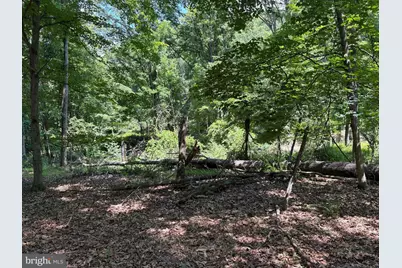 16 Rolling Acres Drive, Old Fields, WV 26845 - Photo 7