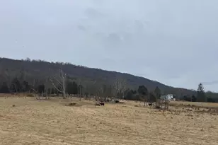 109 Mulberry Ln, Wardensville, WV 26851 - Photo 5