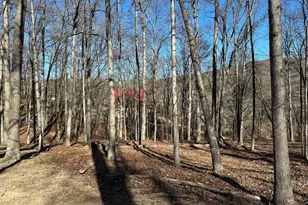 250 Trout Pass, Mathias, WV 26812 - Photo 117