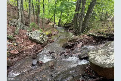 250 Trout Pass, Mathias, WV 26812 - Photo 81