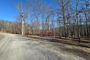 250 Trout Pass, Mathias, WV 26812 - Photo 103