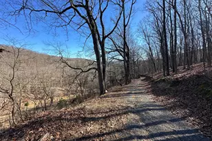 250 Trout Pass, Mathias, WV 26812 - Photo 119