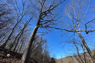 250 Trout Pass, Mathias, WV 26812 - Photo 121