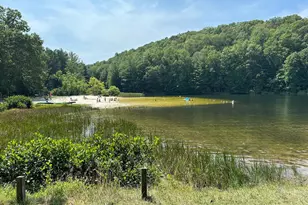 250 Trout Pass, Mathias, WV 26812 - Photo 147