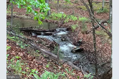 250 Trout Pass, Mathias, WV 26812 - Photo 89