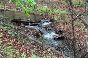 250 Trout Pass, Mathias, WV 26812 - Photo 89