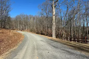 250 Trout Pass, Mathias, WV 26812 - Photo 105