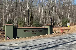 250 Trout Pass, Mathias, WV 26812 - Photo 113