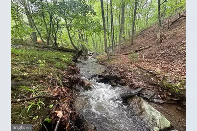 250 Trout Pass, Mathias, WV 26812 - Photo 75