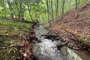 250 Trout Pass, Mathias, WV 26812 - Photo 75