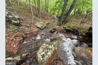 250 Trout Pass, Mathias, WV 26812 - Photo 83