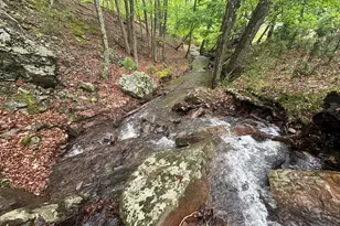 250 Trout Pass, Mathias, WV 26812 - Photo 83