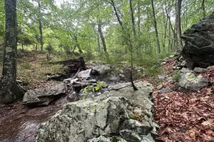 250 Trout Pass, Mathias, WV 26812 - Photo 77