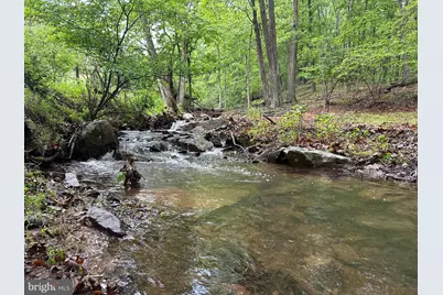 250 Trout Pass, Mathias, WV 26812 - Photo 91