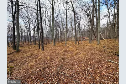 2780 High Knob Road, Old Fields, WV 26845 - Photo 7