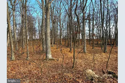 2780 High Knob Road, Old Fields, WV 26845 - Photo 19