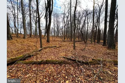 2780 High Knob Road, Old Fields, WV 26845 - Photo 15