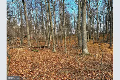 2780 High Knob Road, Old Fields, WV 26845 - Photo 21