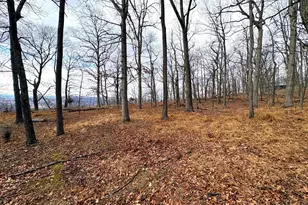 2780 High Knob Rd, Old Fields, WV 26845 - Photo 1