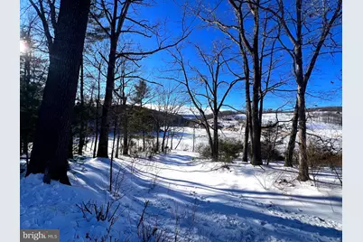 1299 Parker Hollow Road, Baker, WV 26801 - Photo 7