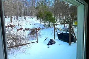 1299 Parker Hollow Rd, Baker, WV 26801 - Photo 47