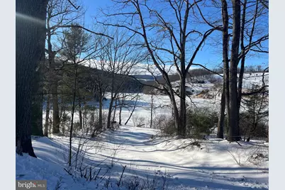 1299 Parker Hollow Road, Baker, WV 26801 - Photo 9