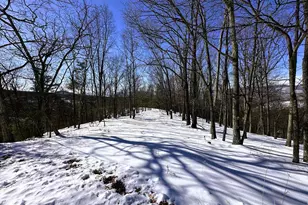 294 Ashton Woods, Moorefield, WV 26836 - Photo 17