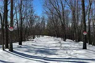 294 Ashton Woods, Moorefield, WV 26836 - Photo 19