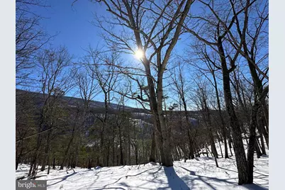 294 Ashton Woods, Moorefield, WV 26836 - Photo 21