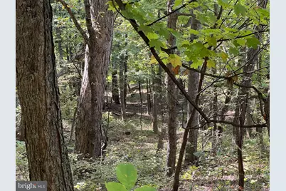 1604 High Knob Road, Old Fields, WV 26845 - Photo 93