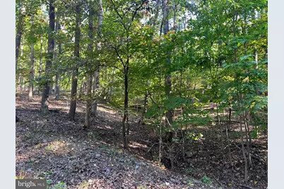 1604 High Knob Road, Old Fields, WV 26845 - Photo 105