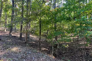 1604 High Knob Rd, Old Fields, WV 26845 - Photo 105