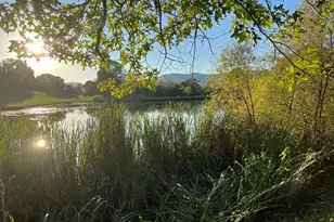 1604 High Knob Rd, Old Fields, WV 26845 - Photo 21