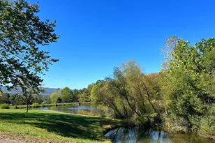 1604 High Knob Rd, Old Fields, WV 26845 - Photo 75