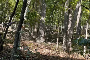 1604 High Knob Rd, Old Fields, WV 26845 - Photo 91