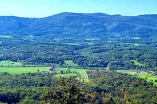 1604 High Knob Rd, Old Fields, WV 26845 - Photo 101