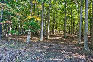 1604 High Knob Rd, Old Fields, WV 26845 - Photo 79