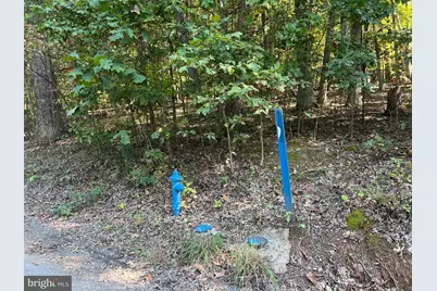 1604 High Knob Road, Old Fields, WV 26845 - Photo 77