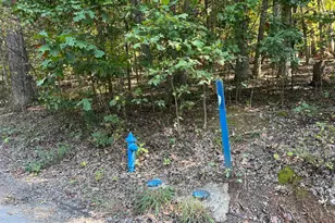 1604 High Knob Rd, Old Fields, WV 26845 - Photo 77