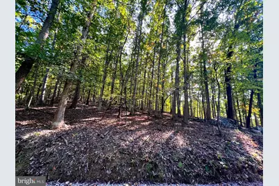 1604 High Knob Road, Old Fields, WV 26845 - Photo 81