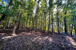 1604 High Knob Rd, Old Fields, WV 26845 - Photo 81