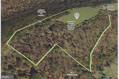 38.43 Acres Howard Sions Road, Moorefield, WV 26836 - Photo 13