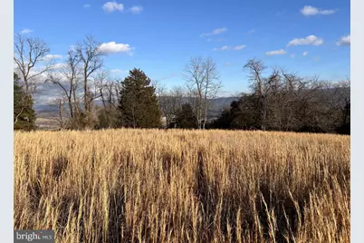 38.43 Acres Howard Sions Road, Moorefield, WV 26836 - Photo 3