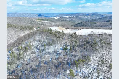 17.55 Shenandoah Mtn Road, Mathias, WV 26812 - Photo 21