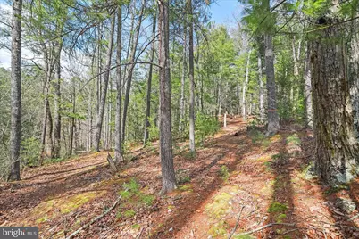 3699 Waites Run Road, Wardensville, WV 26851 - Photo 23