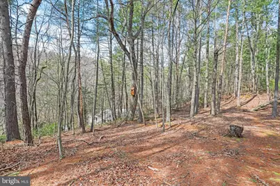 3699 Waites Run Road, Wardensville, WV 26851 - Photo 21