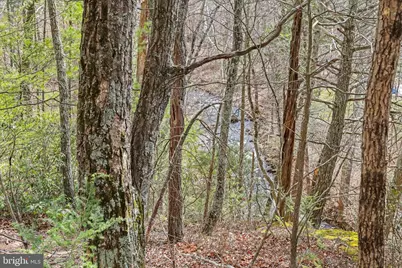 3699 Waites Run Road, Wardensville, WV 26851 - Photo 17