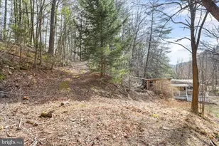 3699 Waites Run Rd, Wardensville, WV 26851 - Photo 21