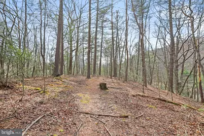 3699 Waites Run Road, Wardensville, WV 26851 - Photo 19