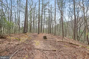 3699 Waites Run Rd, Wardensville, WV 26851 - Photo 19